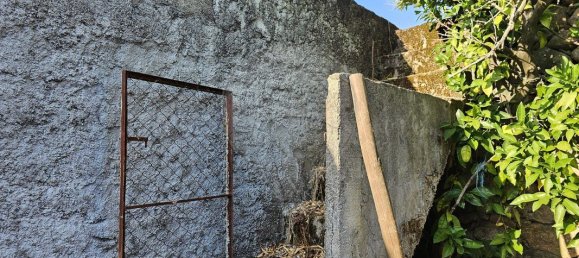 3 bedrooms House in Murca, Portugal No. 179691 4