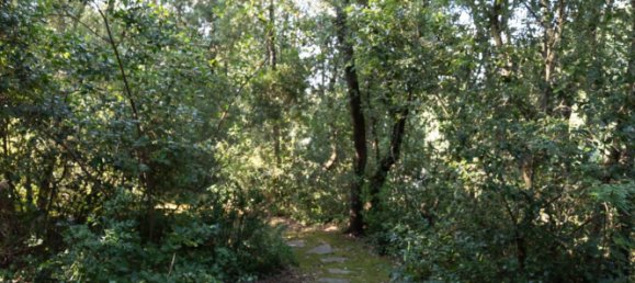 6 bedrooms House in Seva, Spain No. 168018 87