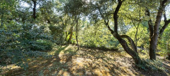 6 bedrooms House in Seva, Spain No. 168018 64