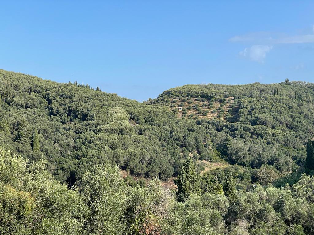 30000m² Hotel in Corfu, Greece No. 4217