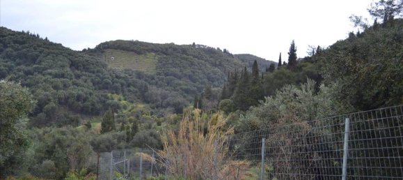 30000m² Hotel in Corfu, Greece No. 4217 2