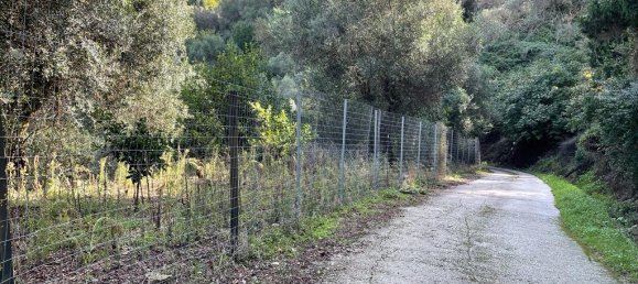 30000m² Hotel in Corfu, Greece No. 4217 3