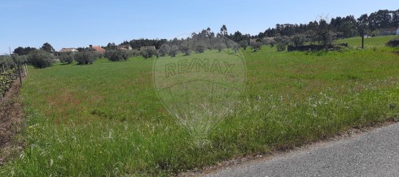 4 bedrooms House in Pombal, Portugal No. 183759 6