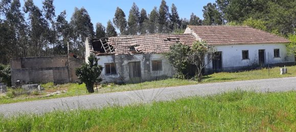 4 bedrooms House in Pombal, Portugal No. 183759 5