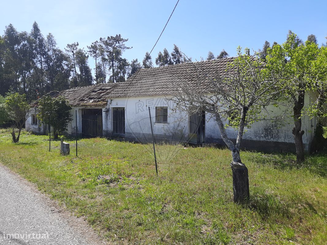 4 bedrooms House in Pombal, Portugal No. 183759