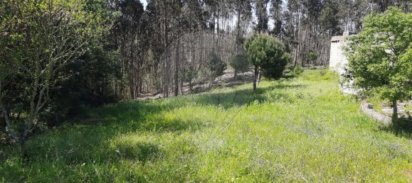 4 bedrooms House in Pombal, Portugal No. 183759 10