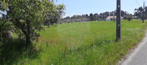 4 bedrooms House in Pombal, Portugal No. 183759 9