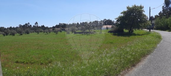 4 bedrooms House in Pombal, Portugal No. 183759 8