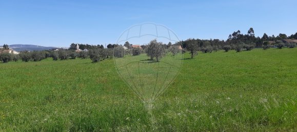 4 bedrooms House in Pombal, Portugal No. 183759 3