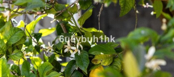 قطعة أرض في Alhaurin de la Torre, Spain 61متر مربع رقم 151038 13