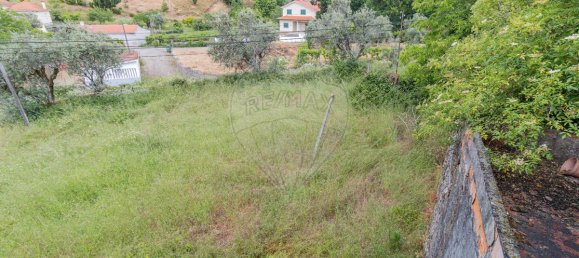 4 bedrooms House in Castanheira de Pera, Portugal No. 184418 20