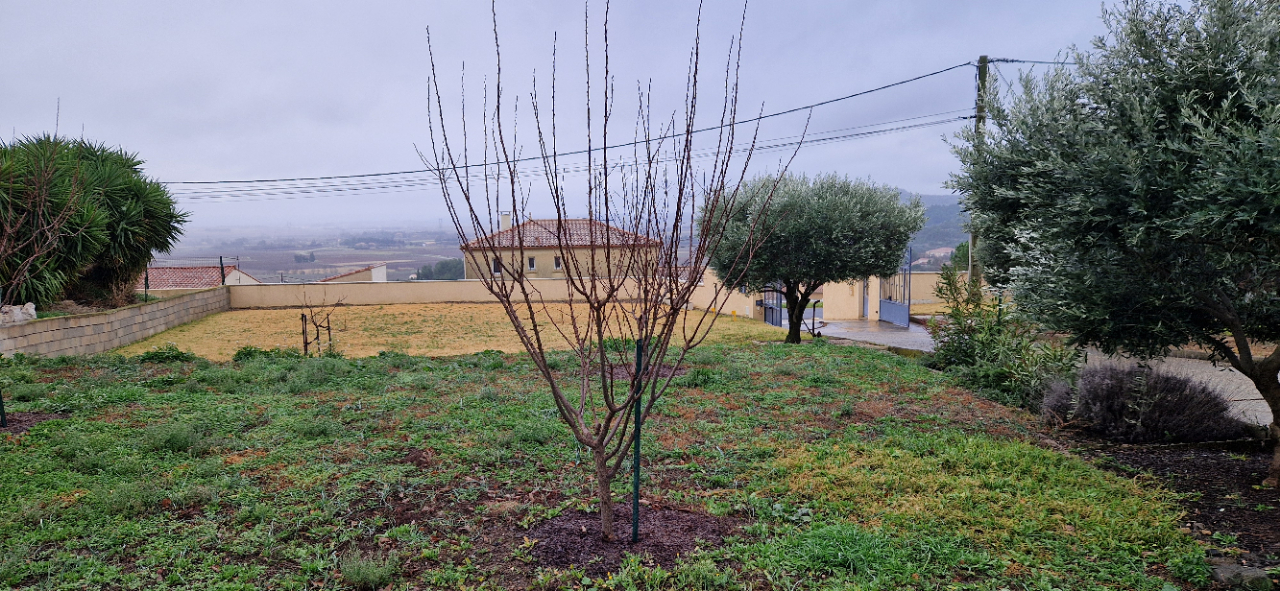 480m² Land in Peret, France No. 96215