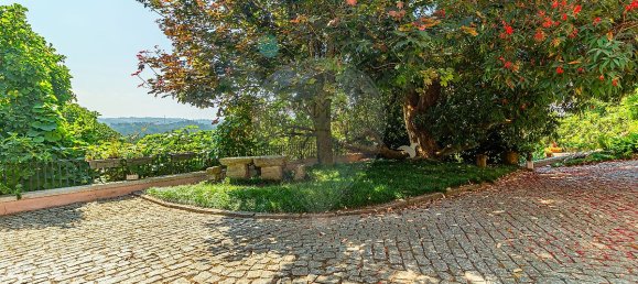 3 Schlafzimmer Haus in Mozelos, Portugal, Nr. 40474 42