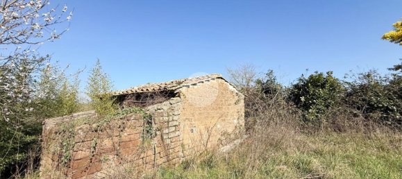 استوديو في Nepi, Italy رقم 115510 5