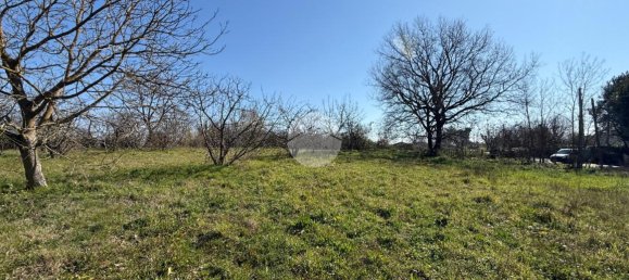 استوديو في Nepi, Italy رقم 115510 21