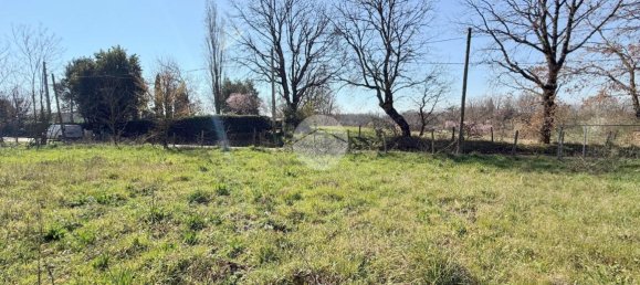 استوديو في Nepi, Italy رقم 115510 11