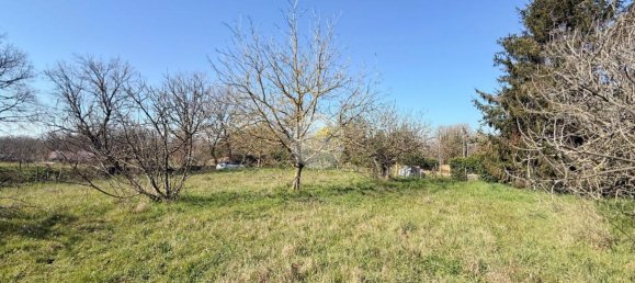 استوديو في Nepi, Italy رقم 115510 8