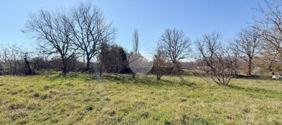 استوديو في Nepi, Italy رقم 115510 13