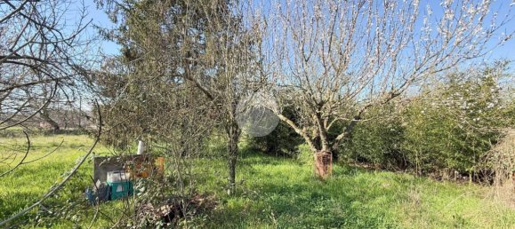 استوديو في Nepi, Italy رقم 115510 15