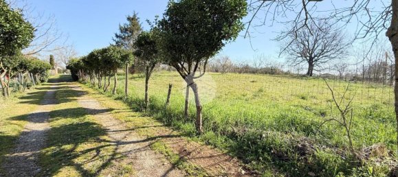 استوديو في Nepi, Italy رقم 115510 3