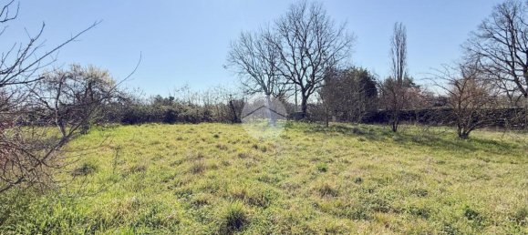 استوديو في Nepi, Italy رقم 115510 18