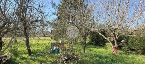 استوديو في Nepi, Italy رقم 115510 14