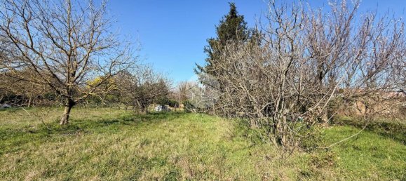 استوديو في Nepi, Italy رقم 115510 10