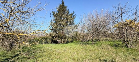 استوديو في Nepi, Italy رقم 115510 17