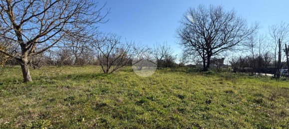 استوديو في Nepi, Italy رقم 115510 20