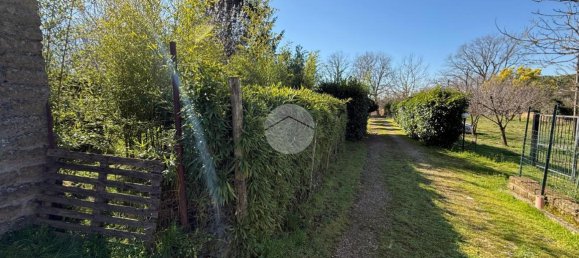 استوديو في Nepi, Italy رقم 115510 6