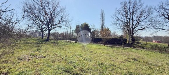 استوديو في Nepi, Italy رقم 115510 23