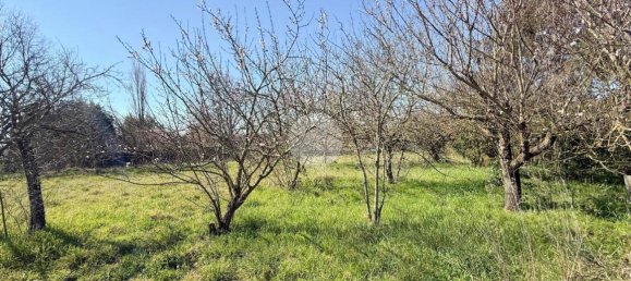 استوديو في Nepi, Italy رقم 115510 22