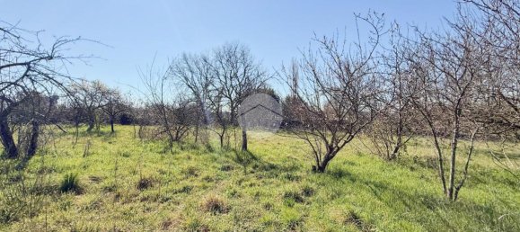 استوديو في Nepi, Italy رقم 115510 19