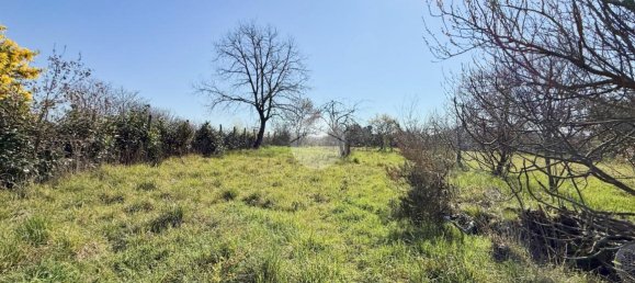 استوديو في Nepi, Italy رقم 115510 12