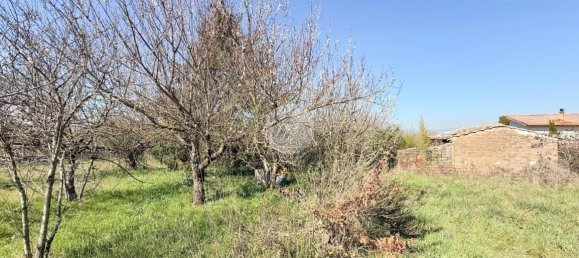 استوديو في Nepi, Italy رقم 115510 4