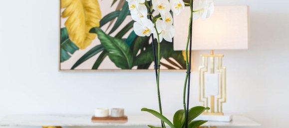 2 Schlafzimmer Penthouse in Fuengirola, Spain, Nr. 179976 18