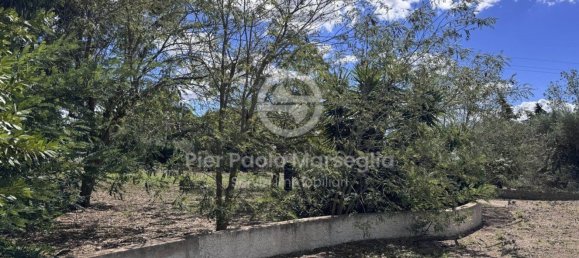 2 rooms Villa in Ostuni, Italy No. 302504 4