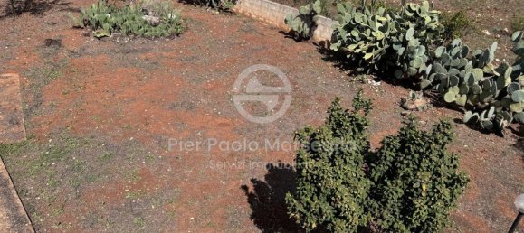 2 rooms Villa in Ostuni, Italy No. 302504 12