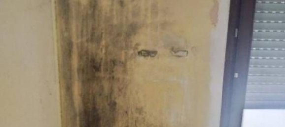 3 rooms Apartment in Montesilvano, Italy No. 186525 10