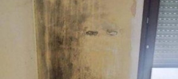 3 rooms Apartment in Montesilvano, Italy No. 186525 16