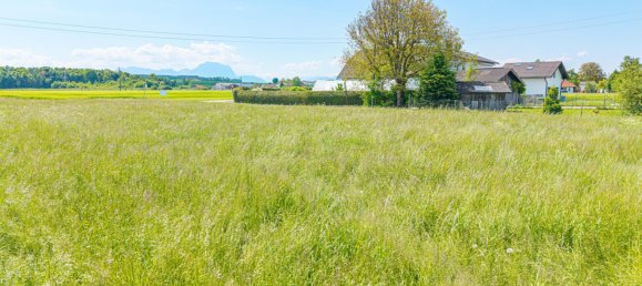 Terrain à Roitham am Traunfall, Austria No. 135159 5