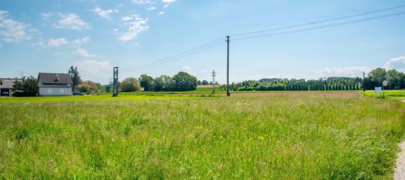 Terrain à Roitham am Traunfall, Austria No. 135159 7