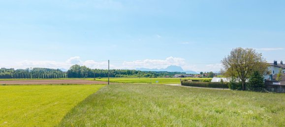 Terrain à Roitham am Traunfall, Austria No. 135159 4