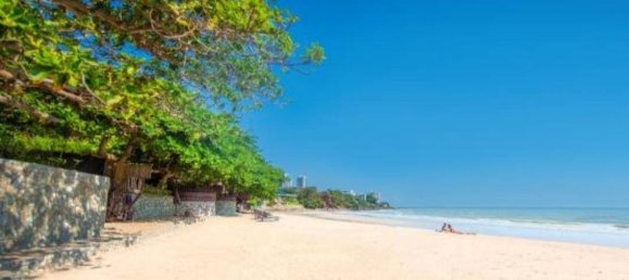 12 bedrooms Cafe / restaurant in Pattaya, Thailand No. 8611 21