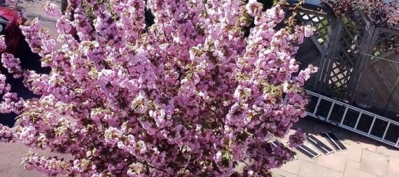 Дом с 3 спальнями в Дармштадт-Дибург, Германия № 305440 15