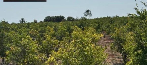 Terreno em El Altet, Spain N.º 189474 4