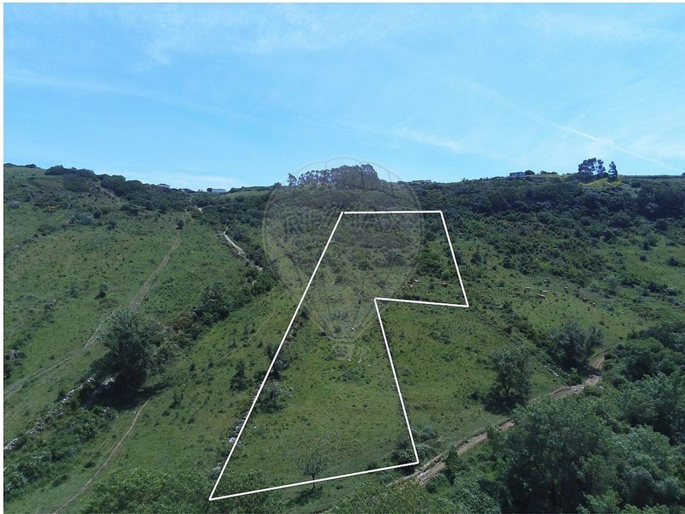 10720m² Land in Sintra, Portugal No. 76921