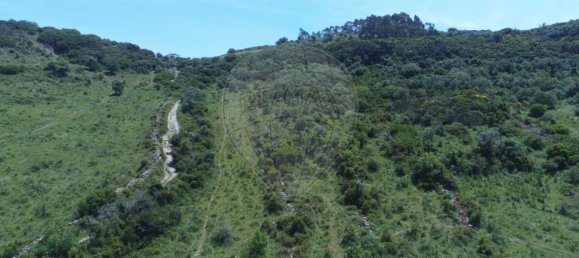 10720m² Land in Sintra, Portugal No. 76921 4