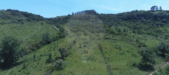 10720m² Land in Sintra, Portugal No. 76921 2