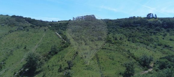 10720m² Land in Sintra, Portugal No. 76921 3